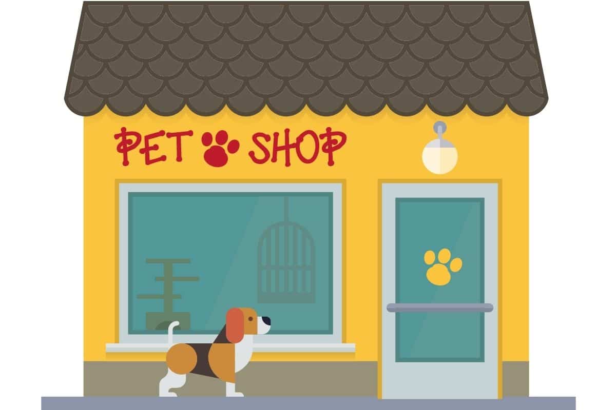 Before Selling A Pet Store Essential Tips & Guidance
