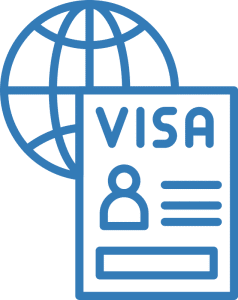 visa icon